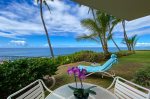 Watch the Dolphins and Whales Winter from the Lanai